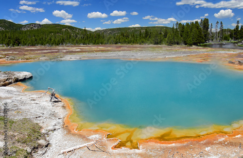 stunningly blue black opal pool hot springs in the biscuit geyser basin in yellowstone national park, wyoming