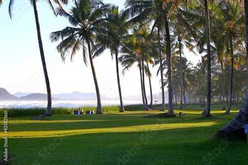Tropical scenery with palm trees and coconuts trees. In the background mountain. Calm sea with few waves. Romantic scenery.
