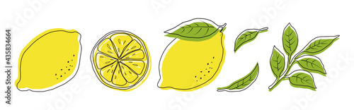 vector illustrations of lemons and leaves for banners, cards, flyers, social media wallpapers, etc.