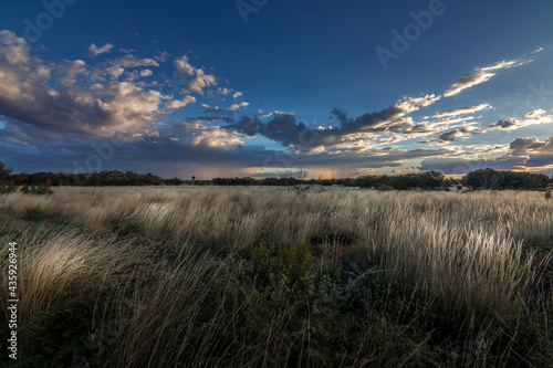 Beautiful view of acloudy sky above a field of grass ona windy day during sunset