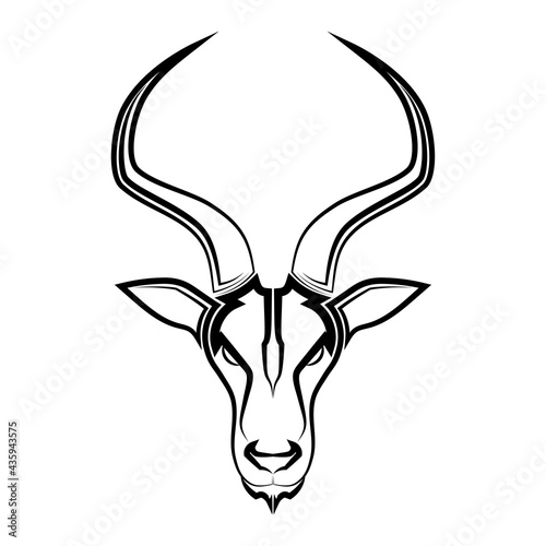 Line art vector of impala head Suitable for use as decoration or logo Line art vector of springbok head Suitable for use as decoration or logo