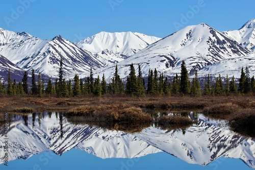 Chugach mountains reflect in a vernal pond in the Matanuska Valley, Alaska