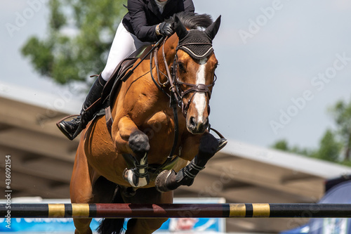 Horse Jumping, Equestrian Sports, Show Jumping event themed photograph