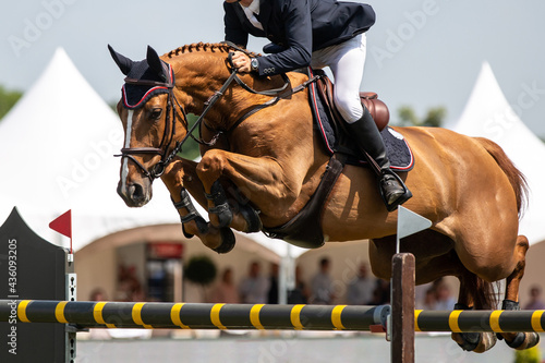 Horse Jumping, Equestrian Sports, Show Jumping themed photo.