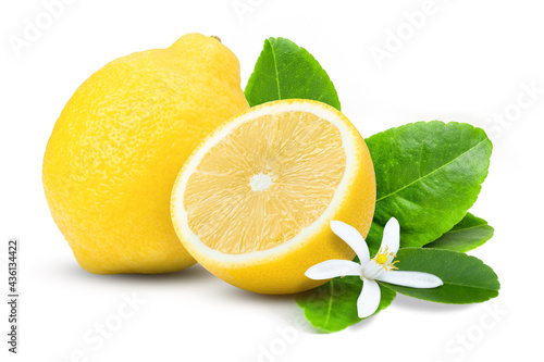 lemon with leaves and flower on white.