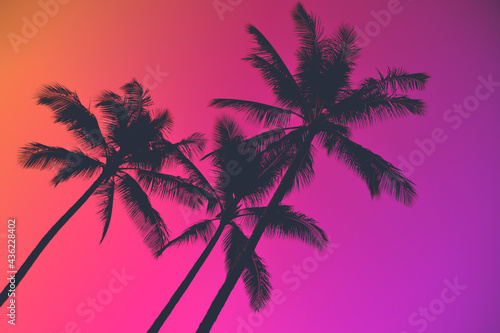Palm trees and neon pink and purple skies