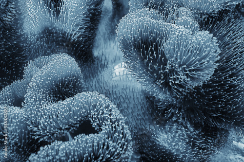 coral reef macro / texture, abstract marine ecosystem background on a coral reef