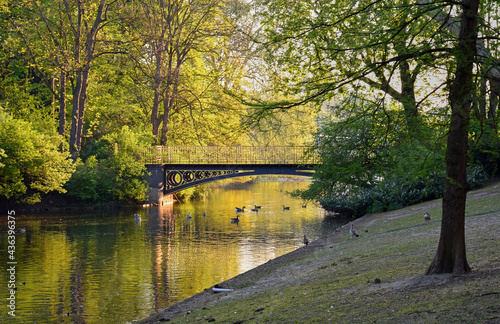Bridge over the pond in the city Park