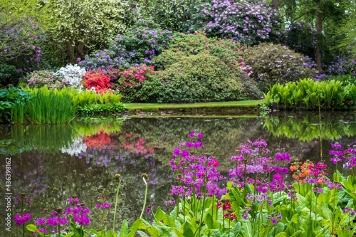 Variety of colourful flowers grow around the lake at the John Lewis Longstock Park Water Garden, Hampshire UK