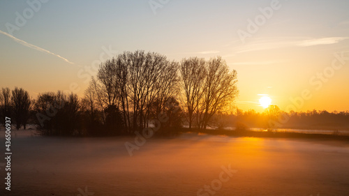 Polder in Dutch Biesbosch National Park covered by fog during sunrise