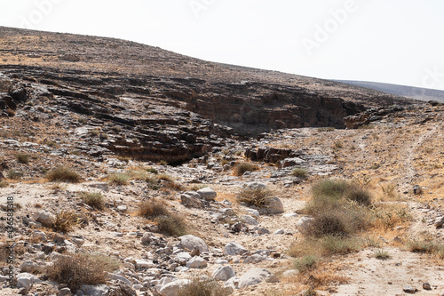 typical Negev Desert landscape southeast of Arad in Israel showing a canyon formed by chert flint layers with chunks of chalk in the foreground