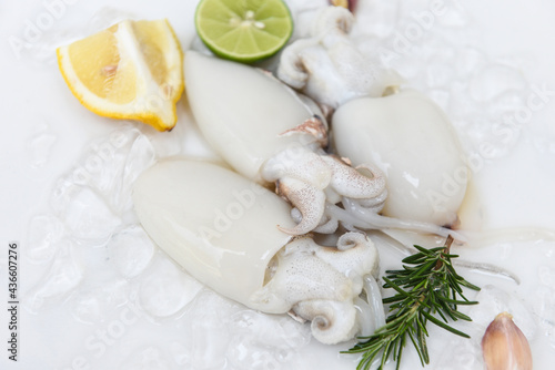 Seafood squid on ice for cooking food in the restaurant, Fresh raw octopus cuttlefish ocean gourmet with lemon and rosemary on white plate