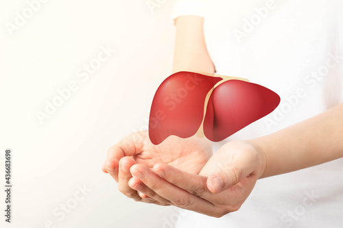 Healthy liver. Human hands holding liver symbol on white background. Protecting against liver disease and organ donation concept.