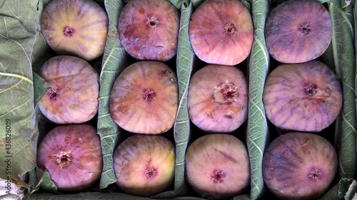 View of Ficus carica also known as the common fig or Anjeer fruit packed in box