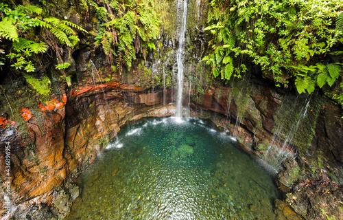 levada 25 fontes madeira