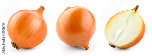 Onion bulbs isolated. Whole golden onion bulb and a half on white background. Onion set. Full depth of field. With clipping path.