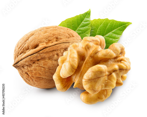 Walnut with leaf isolate. Walnut peeled and unpeeled with leaves on white. Walnut nut side view. Full depth of field.