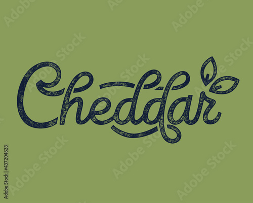 Cheddar. Inscription for packing cheese. Calligraphic handmade lettering. Vector illustration.