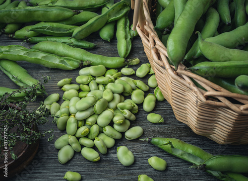 Fresh fava beans, peeled and in pods on a wooden table.