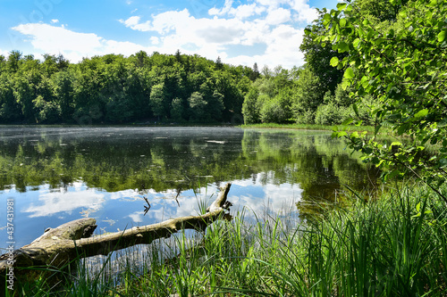 Otominskie Lake near Gdańsk, Poland. Beautiful spring landscape 