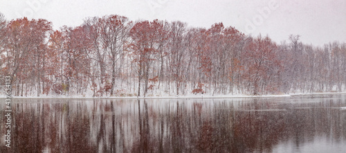 Winter Forest River Reflection Panorama