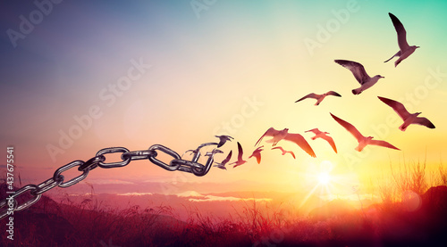 Freedom - Chains That Transform Into Birds - Charge Concept