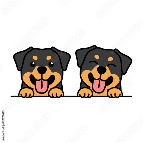 Cute rottweiler puppy cartoon, vector illustration