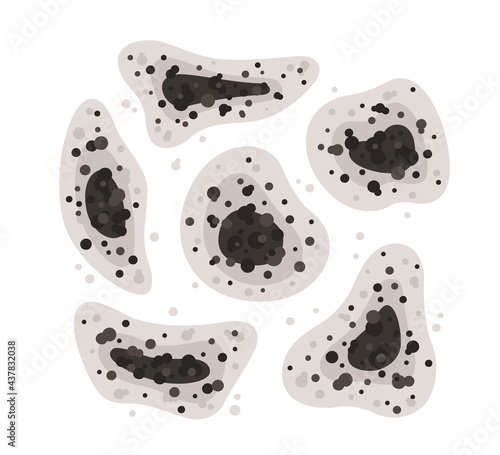 Black mold spots of different shapes. Toxic mold spores. Fungi and bacteria. Stains on the house wall. Isolated vector illustration on white background.