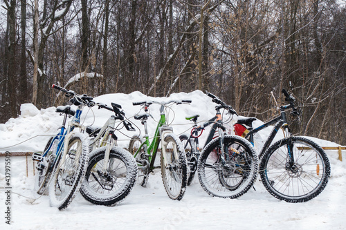 Parked bicycles designed for winter riding. The wheels are covered with snow. Forest in the background