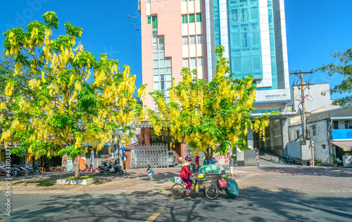 Busy traffic at boulevard with Cassia fistula flower tree blooms planted along roadside adorns city growing urban landscape Ho Chi Minh city, Vietnam