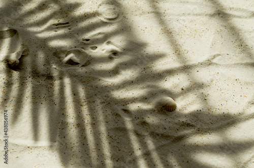 Texture of sea sand with hard shadows of palm trees and seashells. Blank mockup for product packaging demonstration, cosmetics, object. Selective focus, copy space