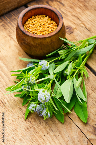 Fenugreek seeds and leaves