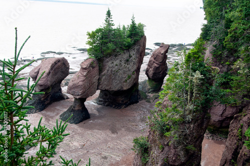 Hopewell Rocks in Bay of Fundy New Brunswick Canada