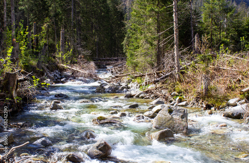 Potok w Tatrach