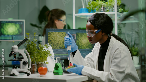 Biologist scientist african woman researcher taking genetic solution from test tube with micropipette putting in petri dish analyzing gmo of sapling working in biological laboratory.