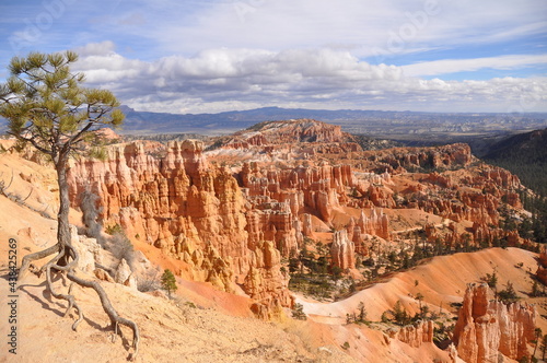 Amazing view from top of the rock at Paunsaugunt Plateau in Bryce Canyon National Park, USA