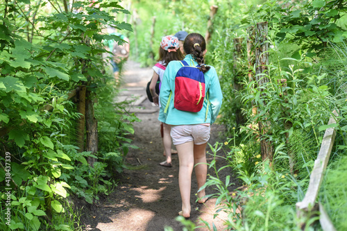 enfant groupe jeune nature ballade foret bois Lauzelle nature decouverte excursion scolaire Belgique Wallonie environnement sentier