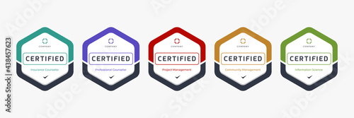 Set of company training badge certificates to determine based on criteria. Vector illustration certified logo design.