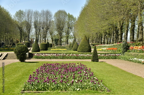 Parterre de tulipes entre les deux allées au jardin français du domaine du château de Grand-Bigard à l'ouest de Bruxelles 