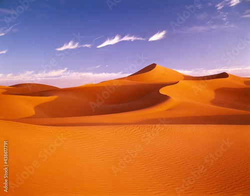 africa, sahara, sand dunes, north africa, desert, dunes, dune, sand, nature, heat, drought, aridity, dunescape, landscape, solitude, barrenness, wasteland, structure, 