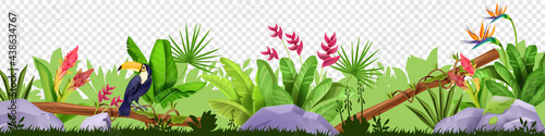 Jungle floral border, vector tropical nature illustration, toucan, green grass, leaves, stone, exotic flowers. Summer rainforest frame, lush foliage, amazon wildlife. Hawaii jungle border, garden bush