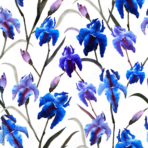 Iris flowers seamless pattern on white background. Design for packaging, textur, fabric, wallpaper, webside, card.