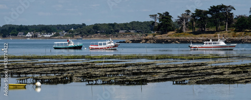 parc à huitre golf du Morbihan Locmariaquer