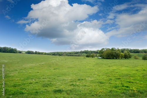 Alnwick Pastures in Northumberland on a beutiful spring day