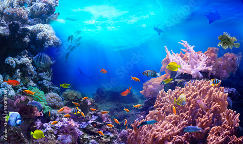 Life in a coral reef. Rich colors of tropical fish. Animals of the underwater sea world. Ecosystem. 