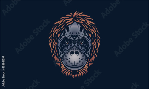 Sumatran orangutan - face on dark background