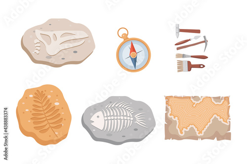 Fossil fish and dinosaurs skeletons and plants, compass, map, and archeology tools vector flat illustration isolated on white background. Stone sections with bones and prehistoric herbs.