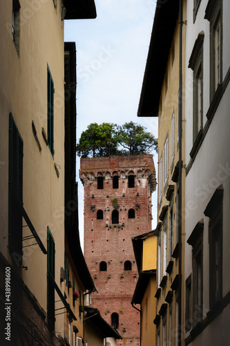 Guinigi tower, medieval building in the historic town center of Lucca (Tuscany, Italy). The tower is a famous landmark known for its top, covered with a garden of holly oak trees