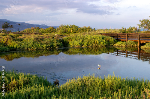 Los humedales de Las Salinas Roquetas de Mar Almería, Sur de España