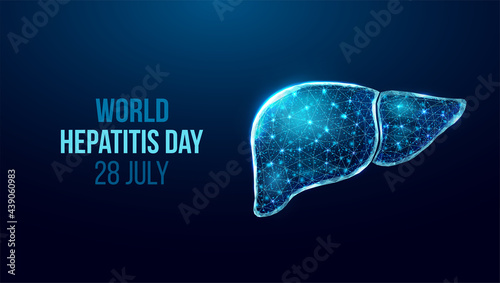 Liver wireframe. World hepatitis day concept. Banner template with glowing low poly liver. Futuristic modern abstract. Isolated on dark background. Vector illustration.